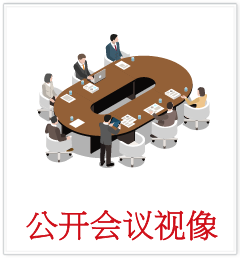 公开会议视像