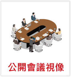 公開會議視像